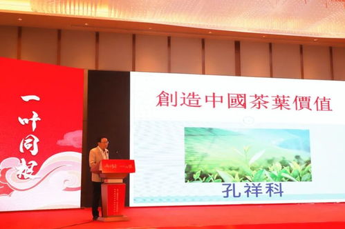 兩岸茶香，技藝同輝——福安兩岸茶文化傳承發展與產業交流盛會